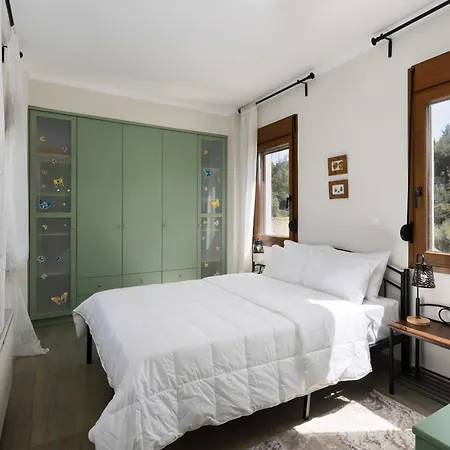 Frida & Rosa By Halu! - In Villa *