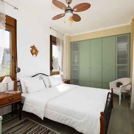 Frida & Rosa By Halu! - In