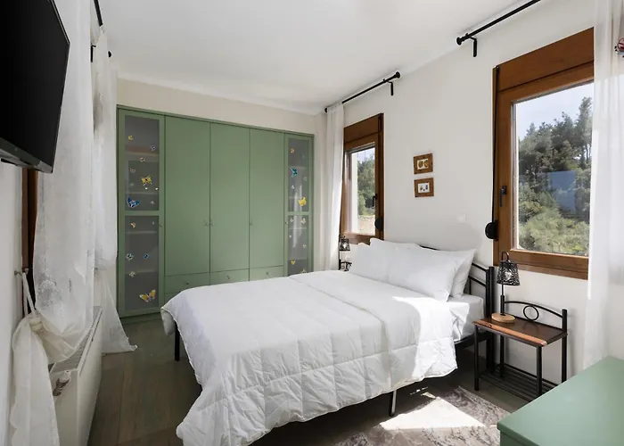 Frida & Rosa By Halu! - In Вилла *